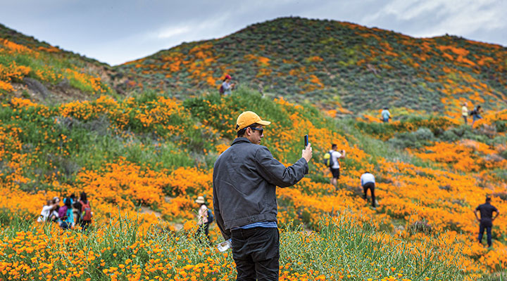 is-social-media-ruining-nature