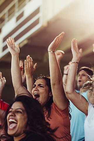 a crowd of fans cheering