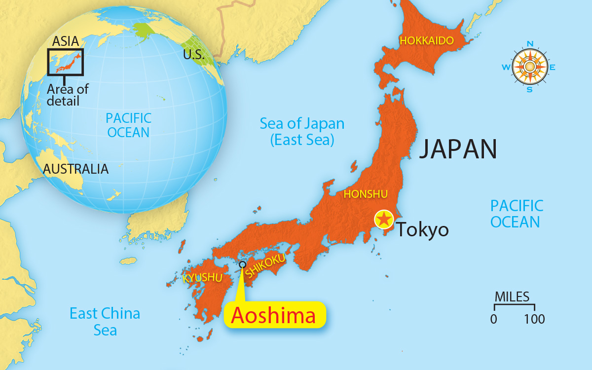 Ultimate Guide to Aoshima AKA Cat Island - Japan Switch