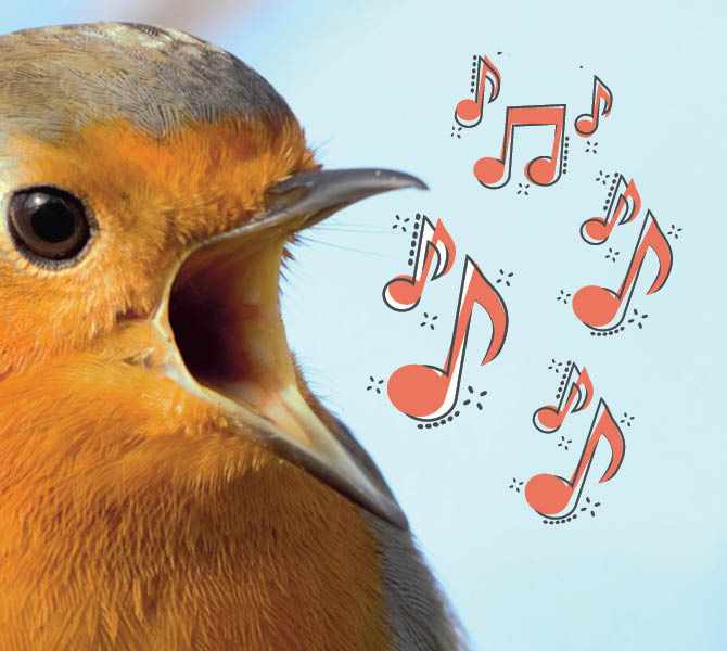 Image of a bird singing and musical notes coming out of its mouth
