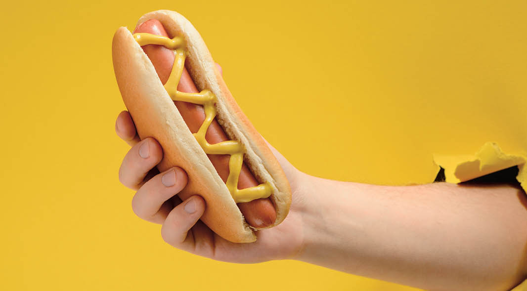 have-a-hot-dog