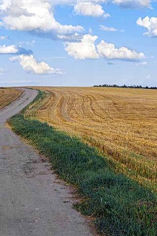 a field with no life on it and far away from the city