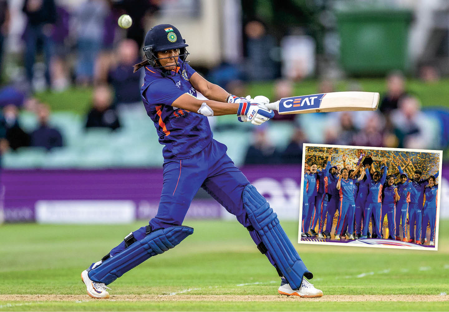 Image of a professional cricket player in action and image of team celebrating