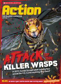 Magazine Issue Cover