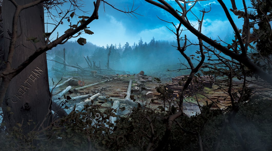 A cleared forest floor covered with fallen logs and stumps, surrounded by bare branches and mist