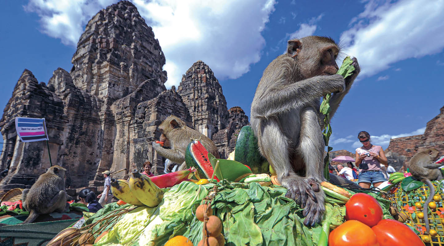 Monkeys eat from a large pile of fruit and vegetables in front of an ancient stone temple