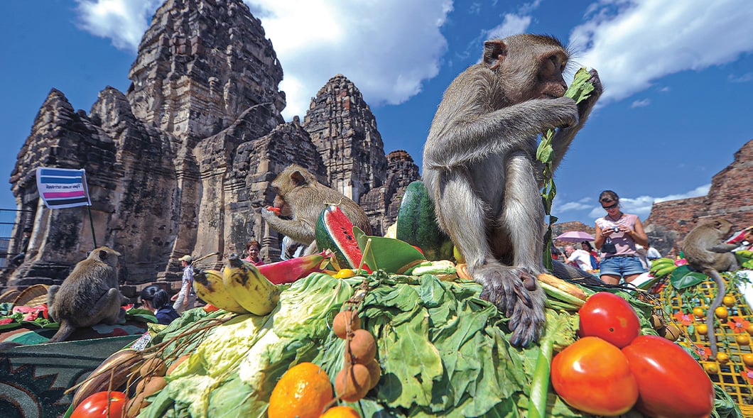 Monkeys eat from a large spread of fruit and vegetables in front of an ancient stone temple