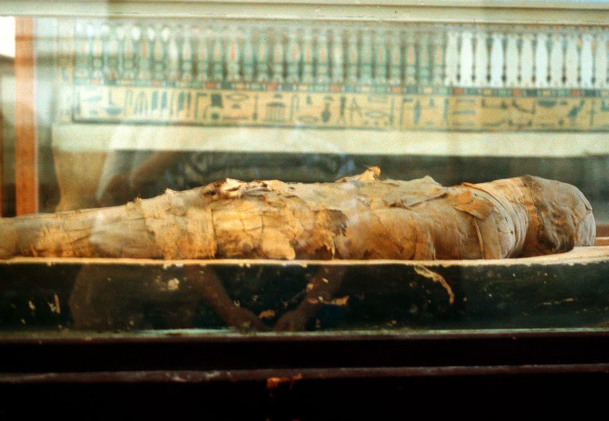 A wrapped mummy behind glass