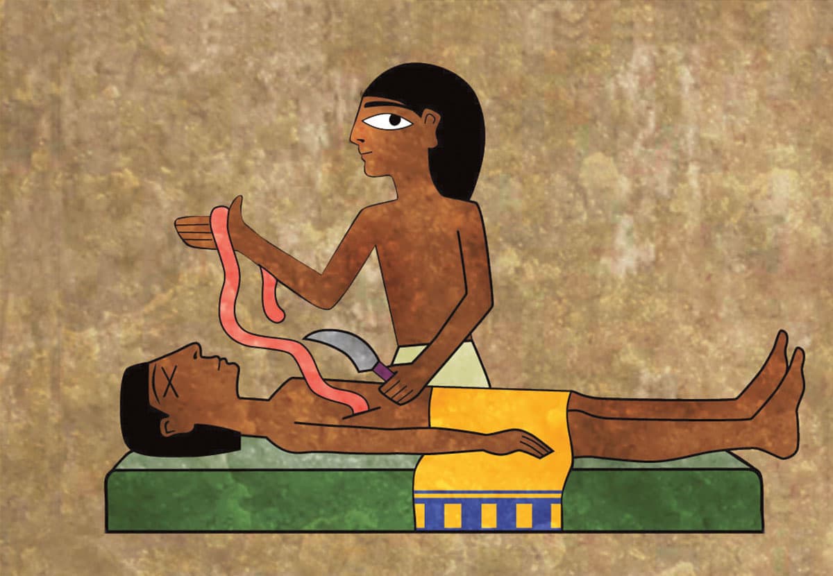 Illustration of an Egyptian man removing the organs from a dead body